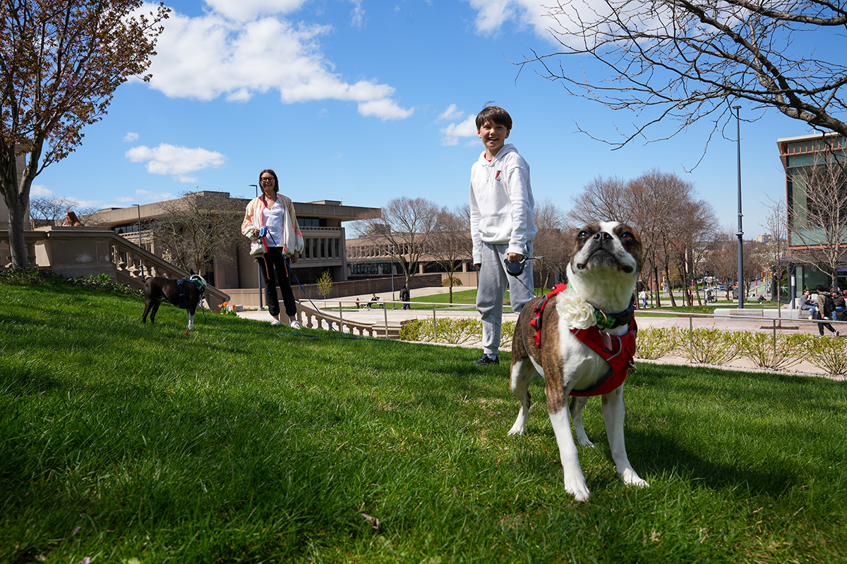 Two people and two dogs hang out on a grassy spot on campus. The person on the right is holding a leash attached to a dog wearing a red harness, which is standing in the foreground. Another person is standing further back, also holding a leash attached to another dog. There are buildings and trees visible in the background under a blue sky with some clouds.